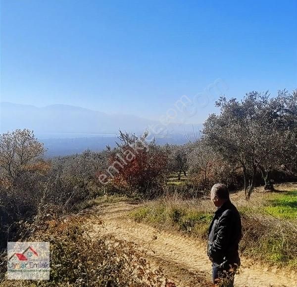 Orhangazi Üreılde Mustakil Köşe Bahçe Bungola Evinı Yap Otur - Görsel 29