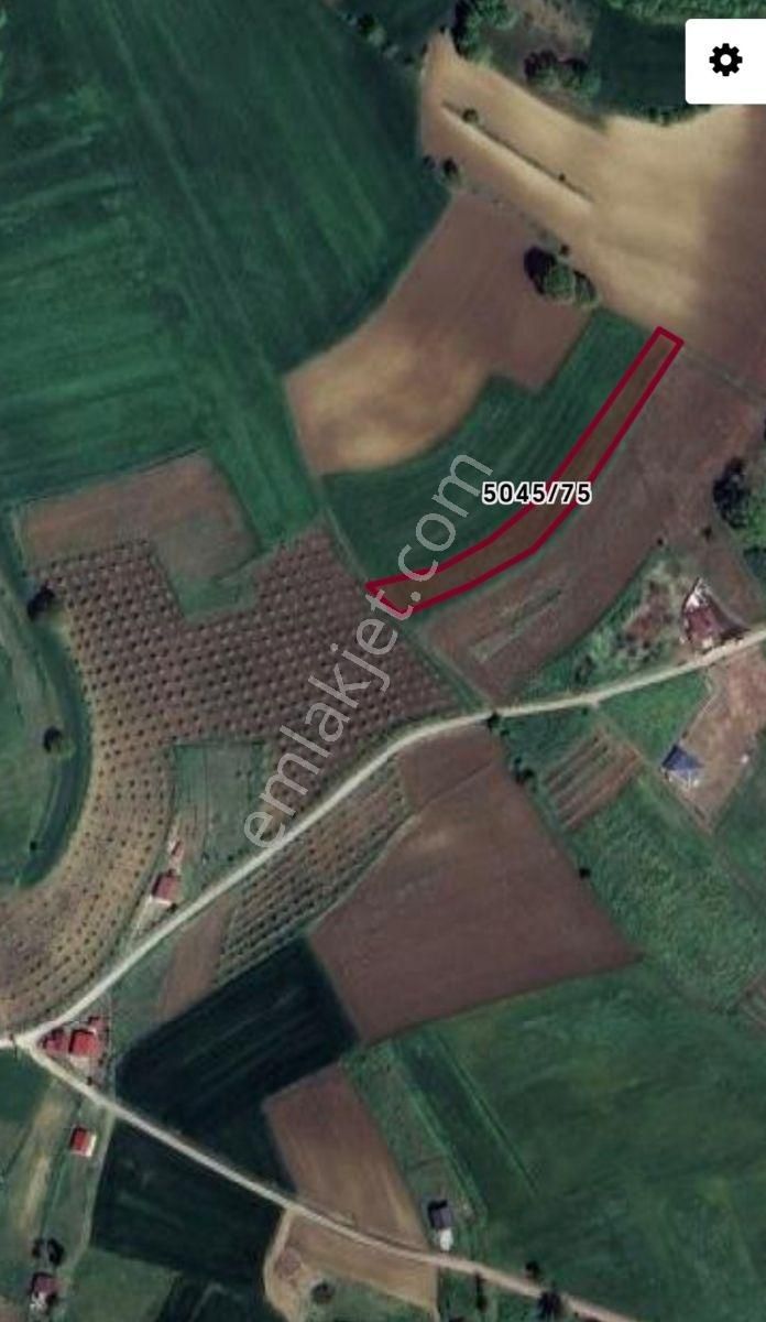 Arazi Uzmanı Recep Davutoğlu'ndan Yatırımlık Tarla - Görsel 16