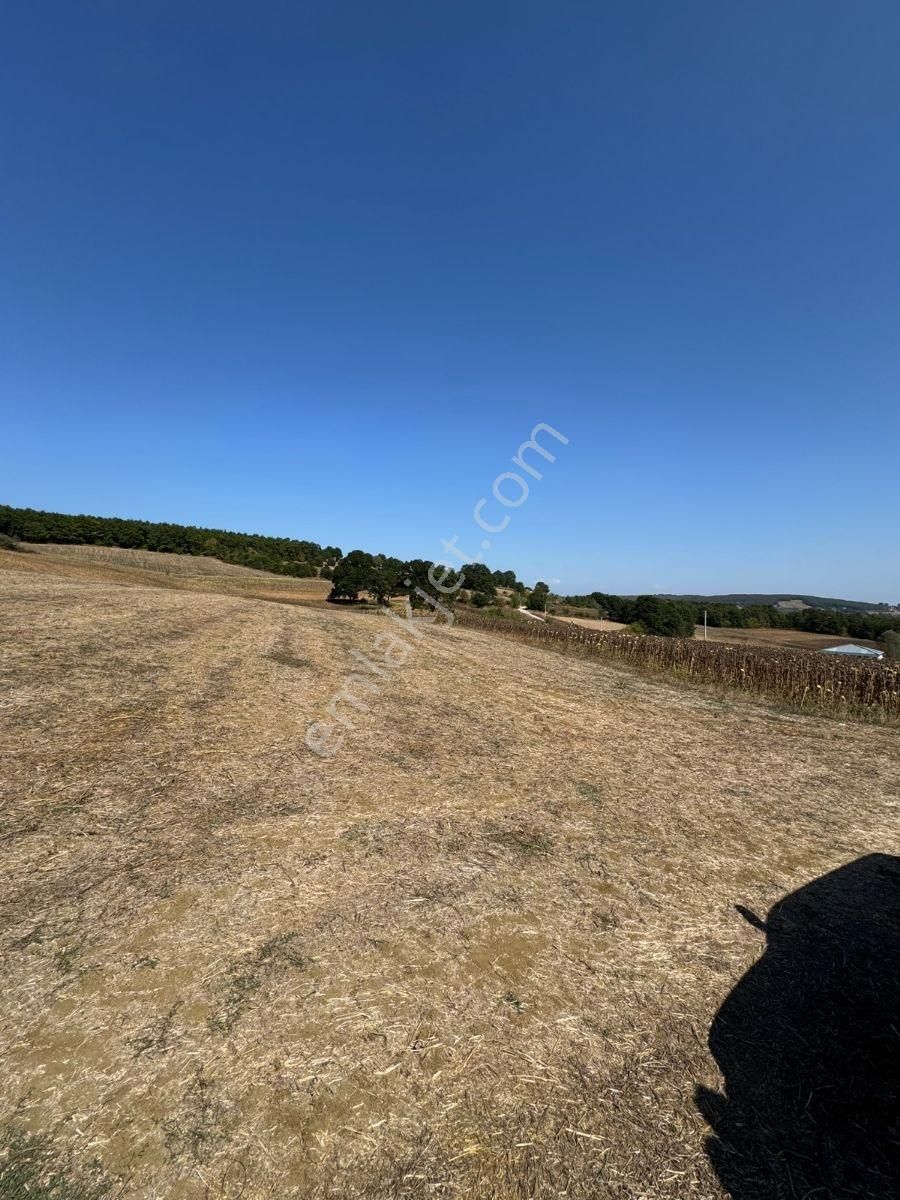 Arazi Uzmanı Recep Davutoğlu'ndan Yatırımlık Tarla - Görsel 5