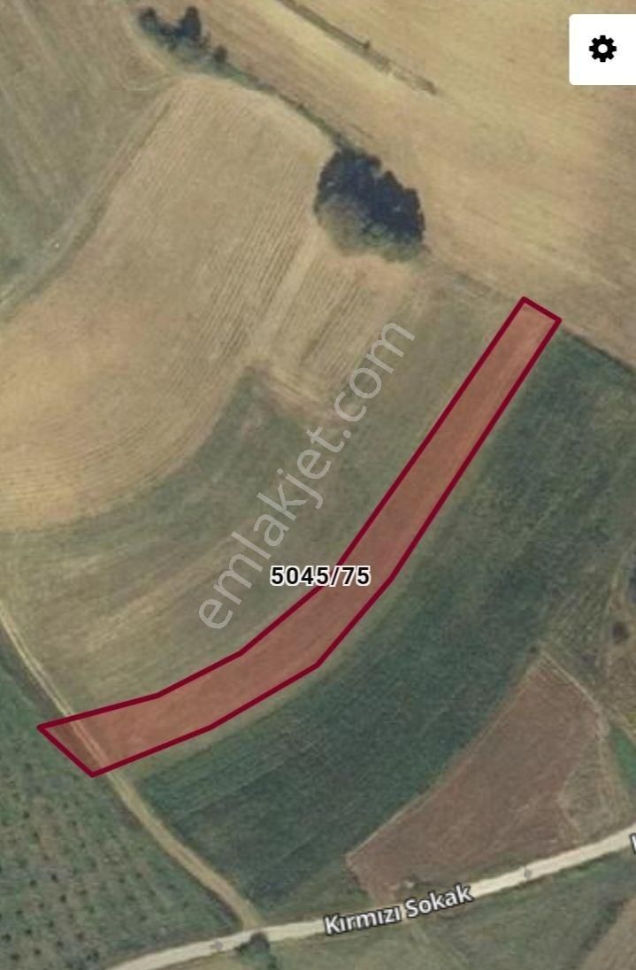 Arazi Uzmanı Recep Davutoğlu'ndan Yatırımlık Tarla - Görsel 8