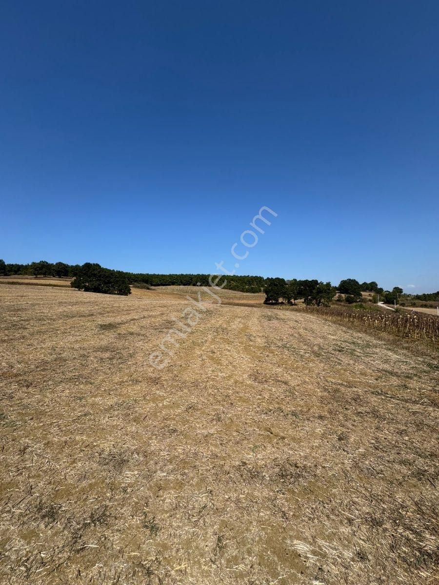 Arazi Uzmanı Recep Davutoğlu'ndan Yatırımlık Tarla - Görsel 12