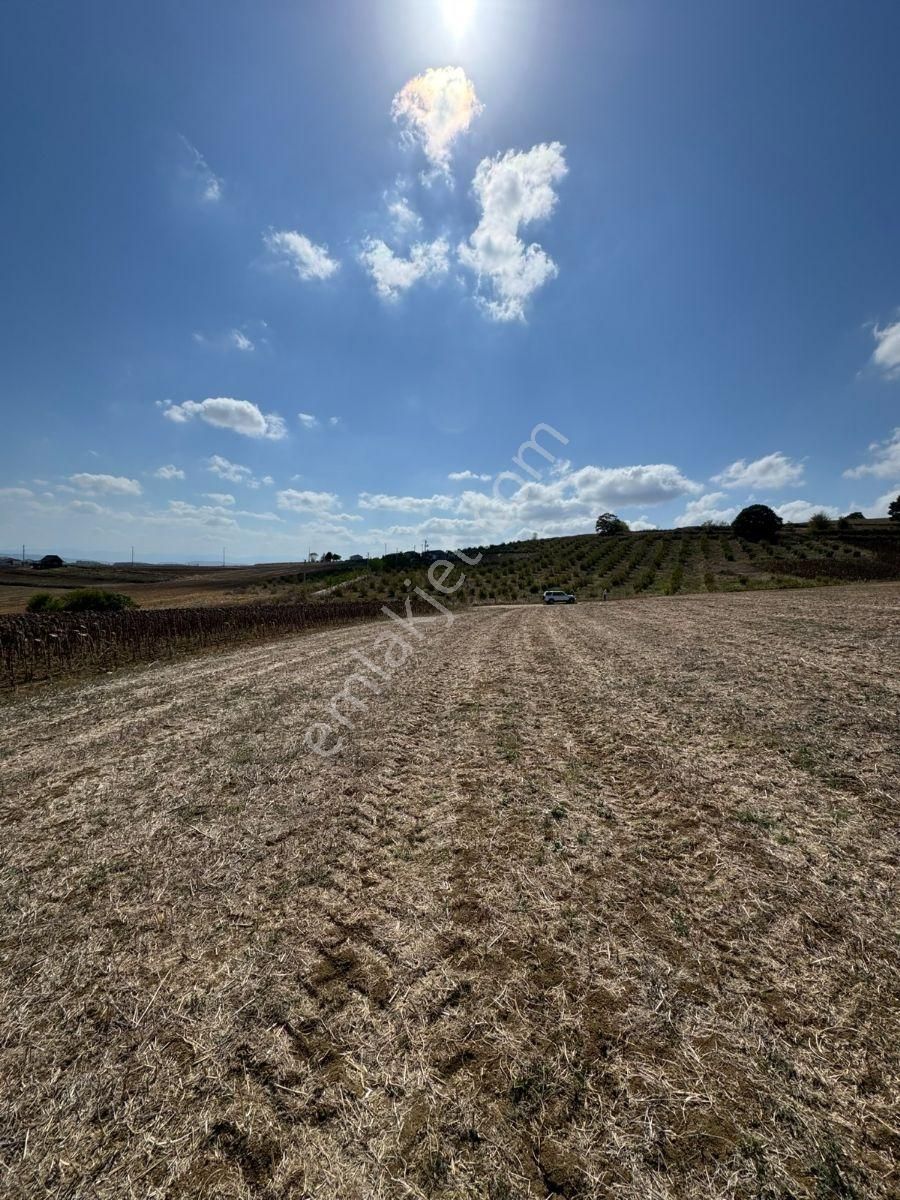 Arazi Uzmanı Recep Davutoğlu'ndan Yatırımlık Tarla