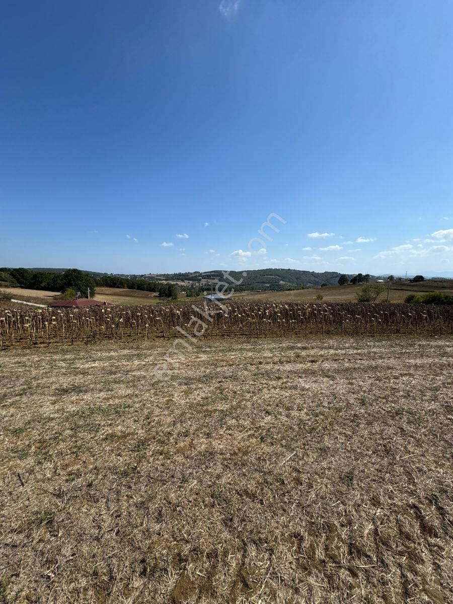 Arazi Uzmanı Recep Davutoğlu'ndan Yatırımlık Tarla - Görsel 7