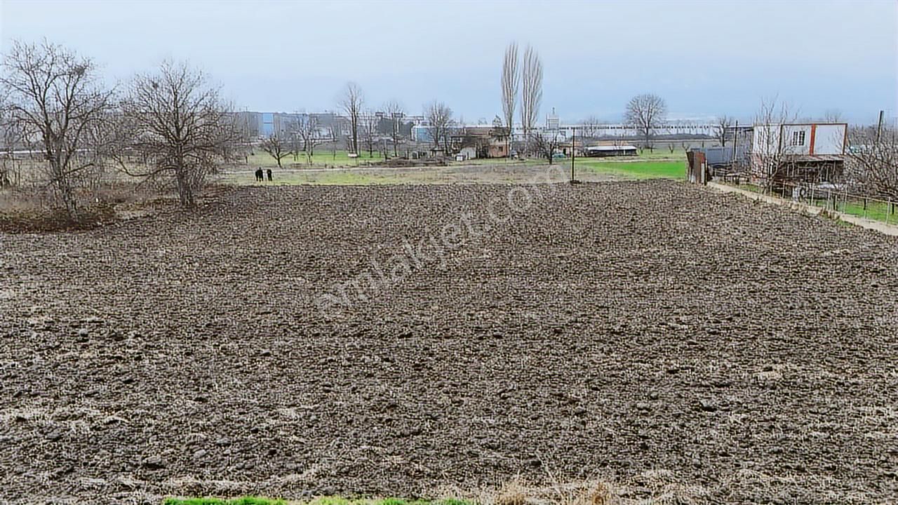 Yenice Osb Yanı 6.731 M² Sanayi İmar Potansiyelli - Görsel 14