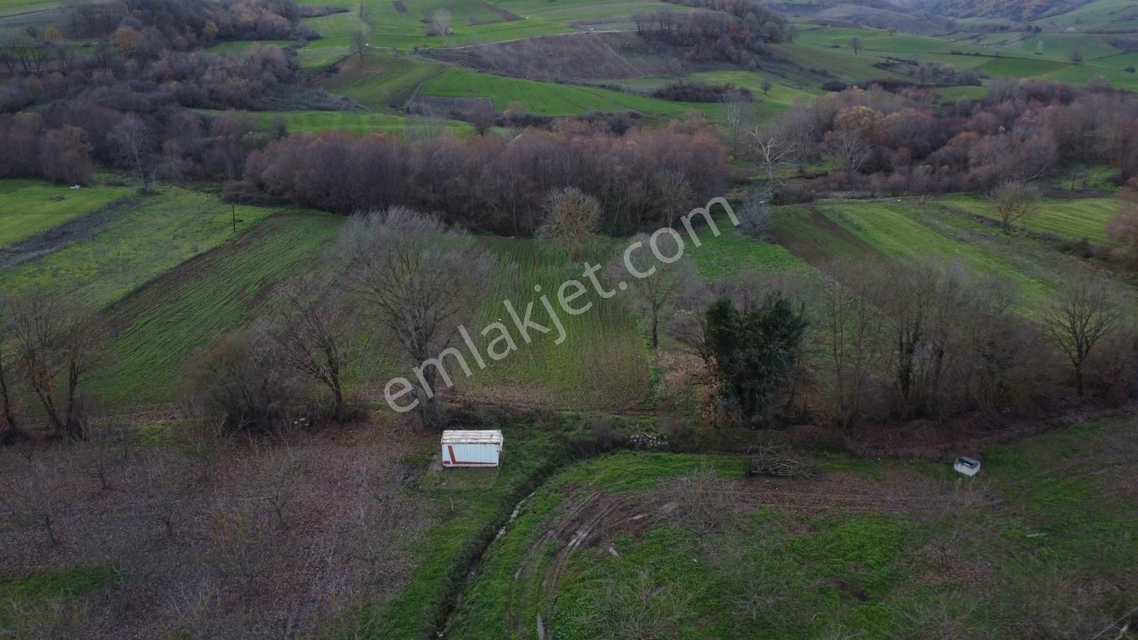 Karamürsel Satılık Hobi İçin Uygun Tarla - Görsel 18