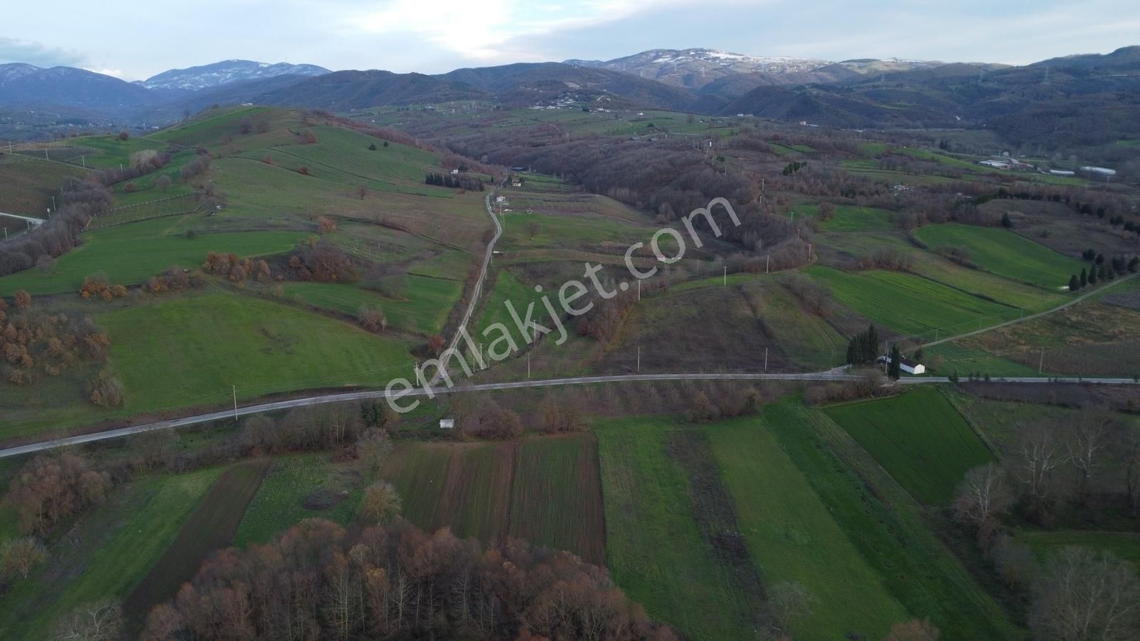 Karamürsel Satılık Hobi İçin Uygun Tarla - Görsel 5