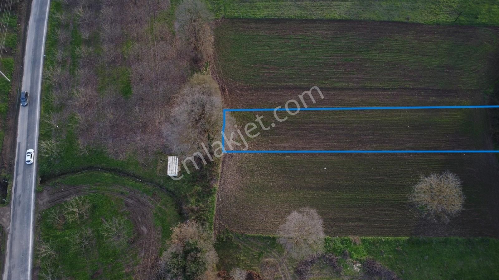 Karamürsel Satılık Hobi İçin Uygun Tarla - Görsel 12