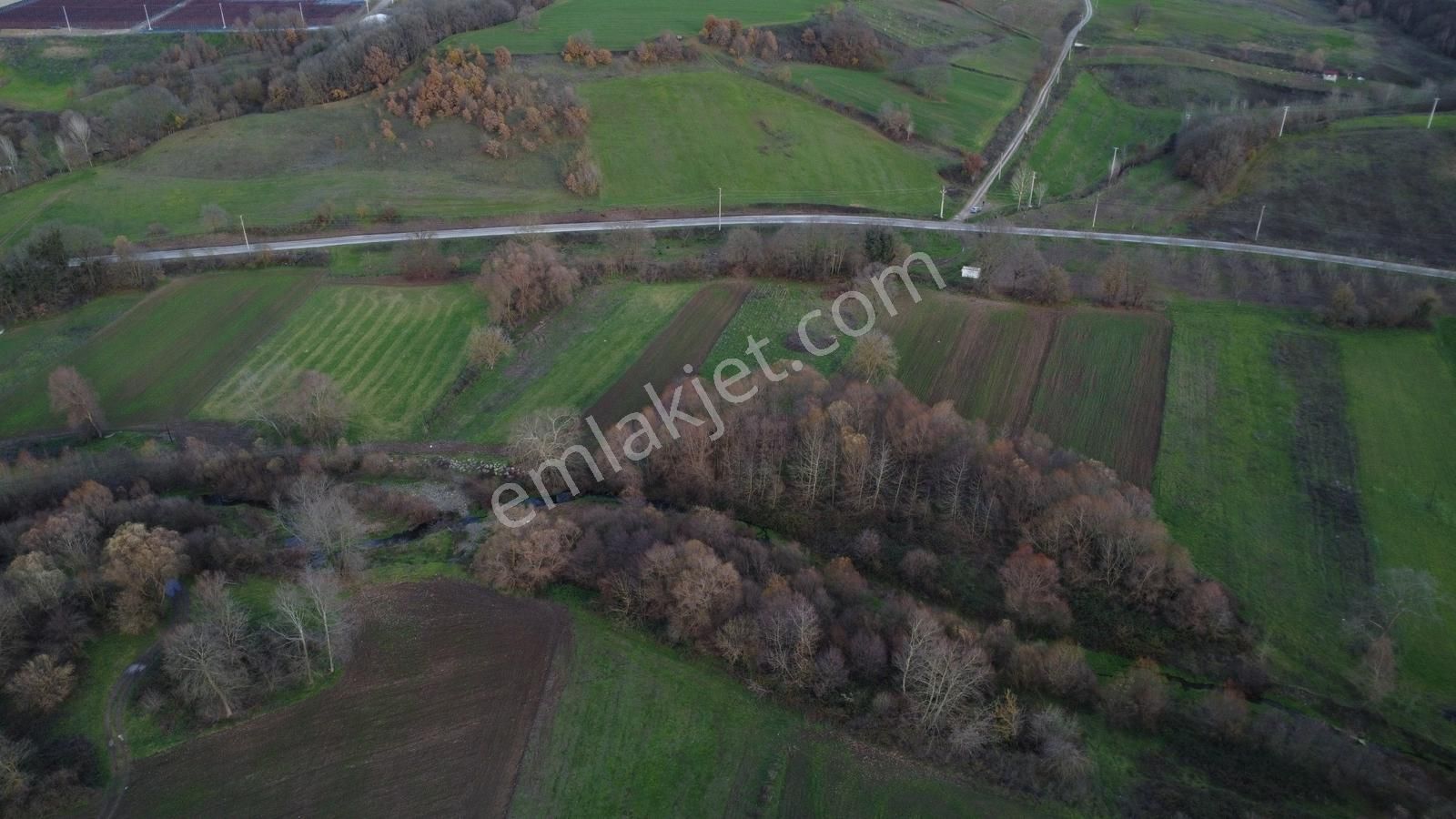 Karamürsel Satılık Hobi İçin Uygun Tarla - Görsel 6