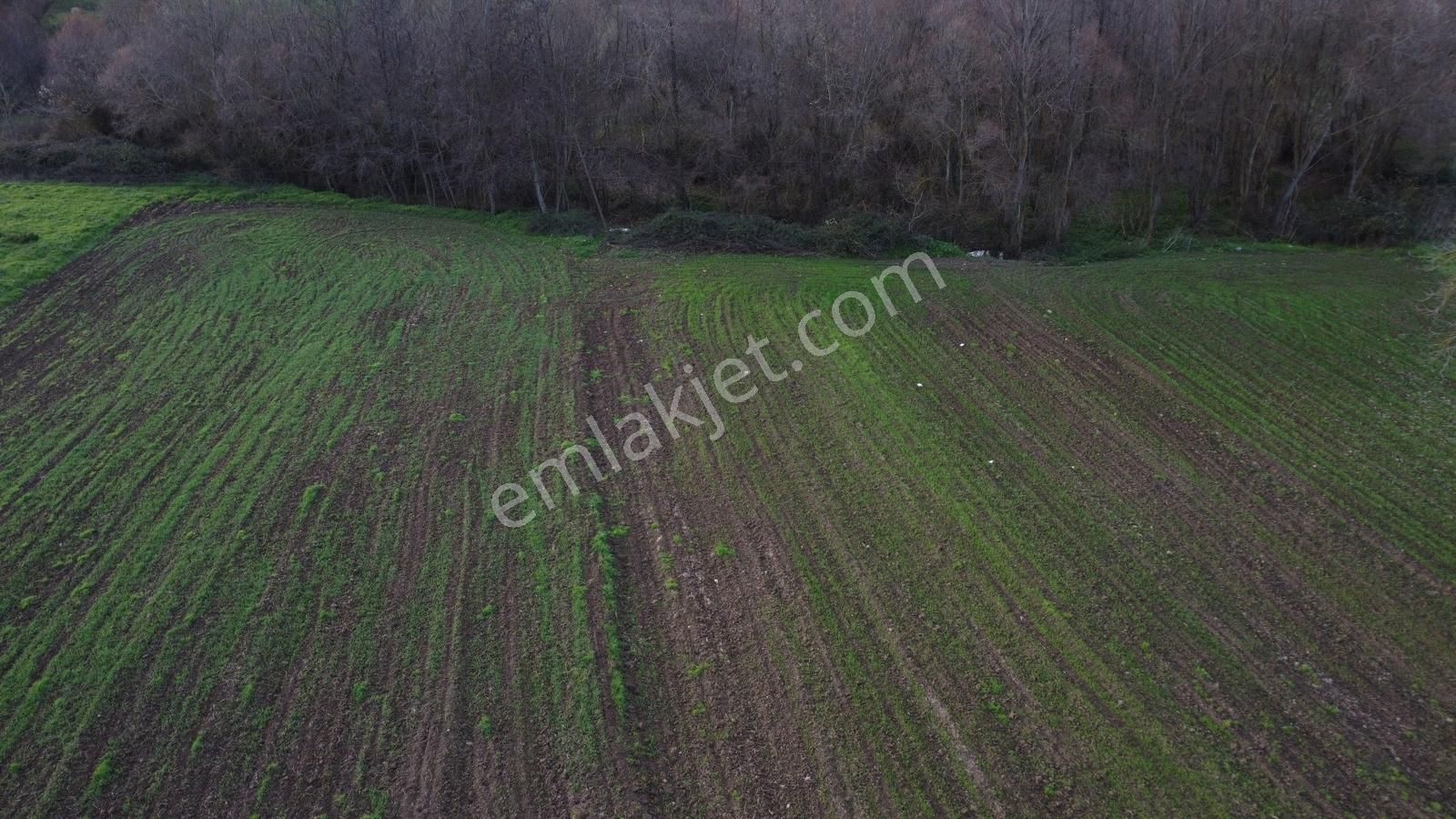 Karamürsel Satılık Hobi İçin Uygun Tarla - Görsel 10