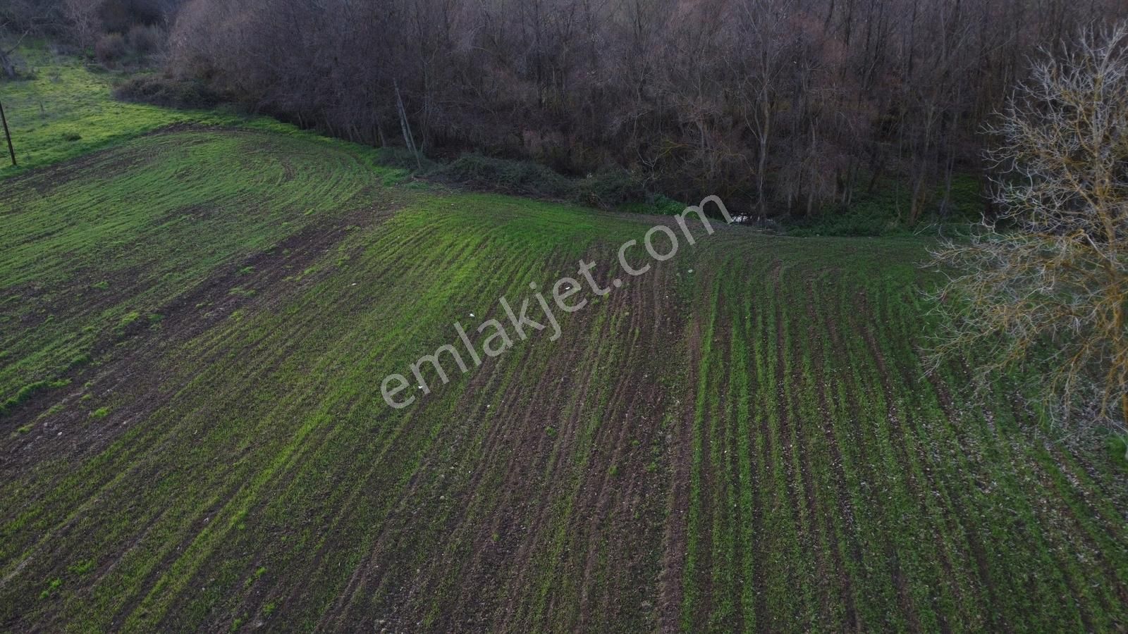 Karamürsel Satılık Hobi İçin Uygun Tarla - Görsel 3