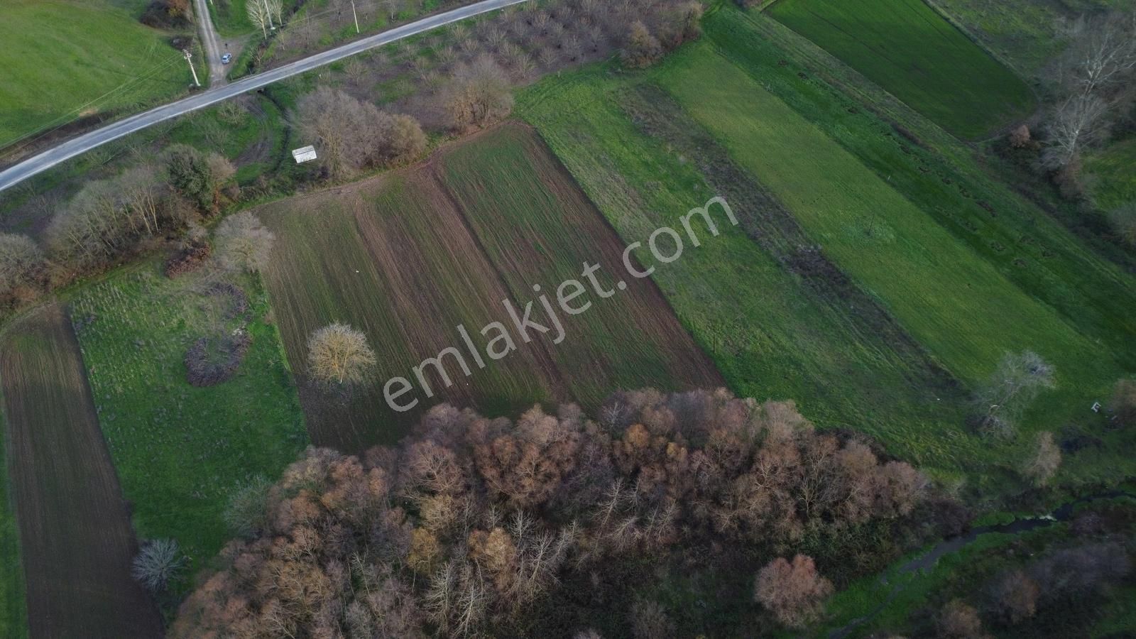 Karamürsel Satılık Hobi İçin Uygun Tarla - Görsel 2
