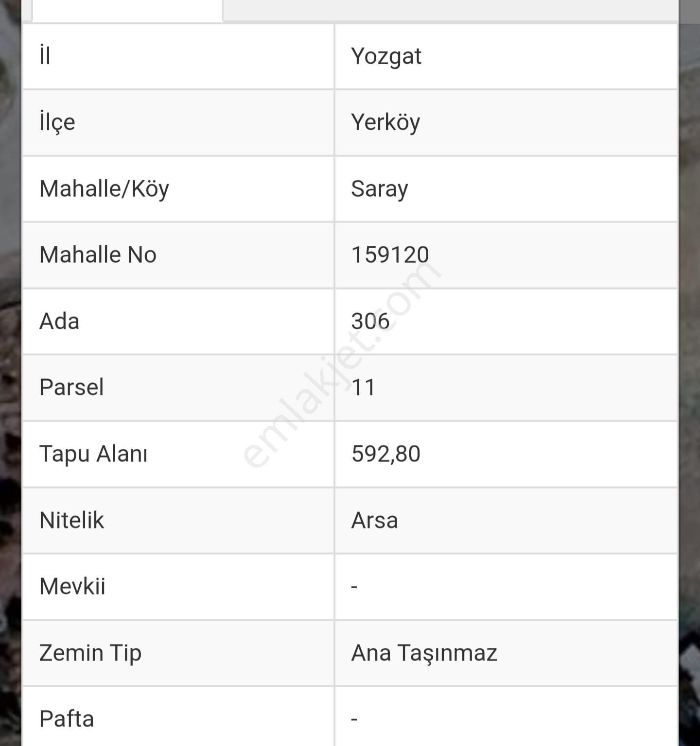 Msyapı Emlaktan Saray Köyünde 3 Adet Satılık Arsa - Görsel 3