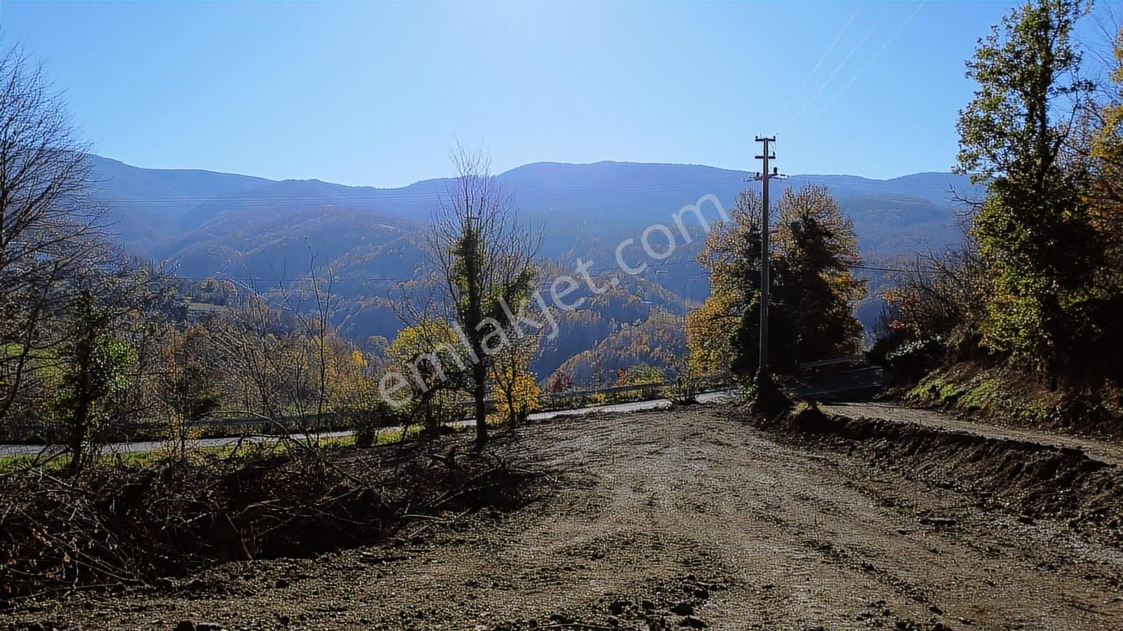 Gölcük Nüzhetiyede Güzel Konumda Satılık Arazi 4225 M2 - Görsel 6