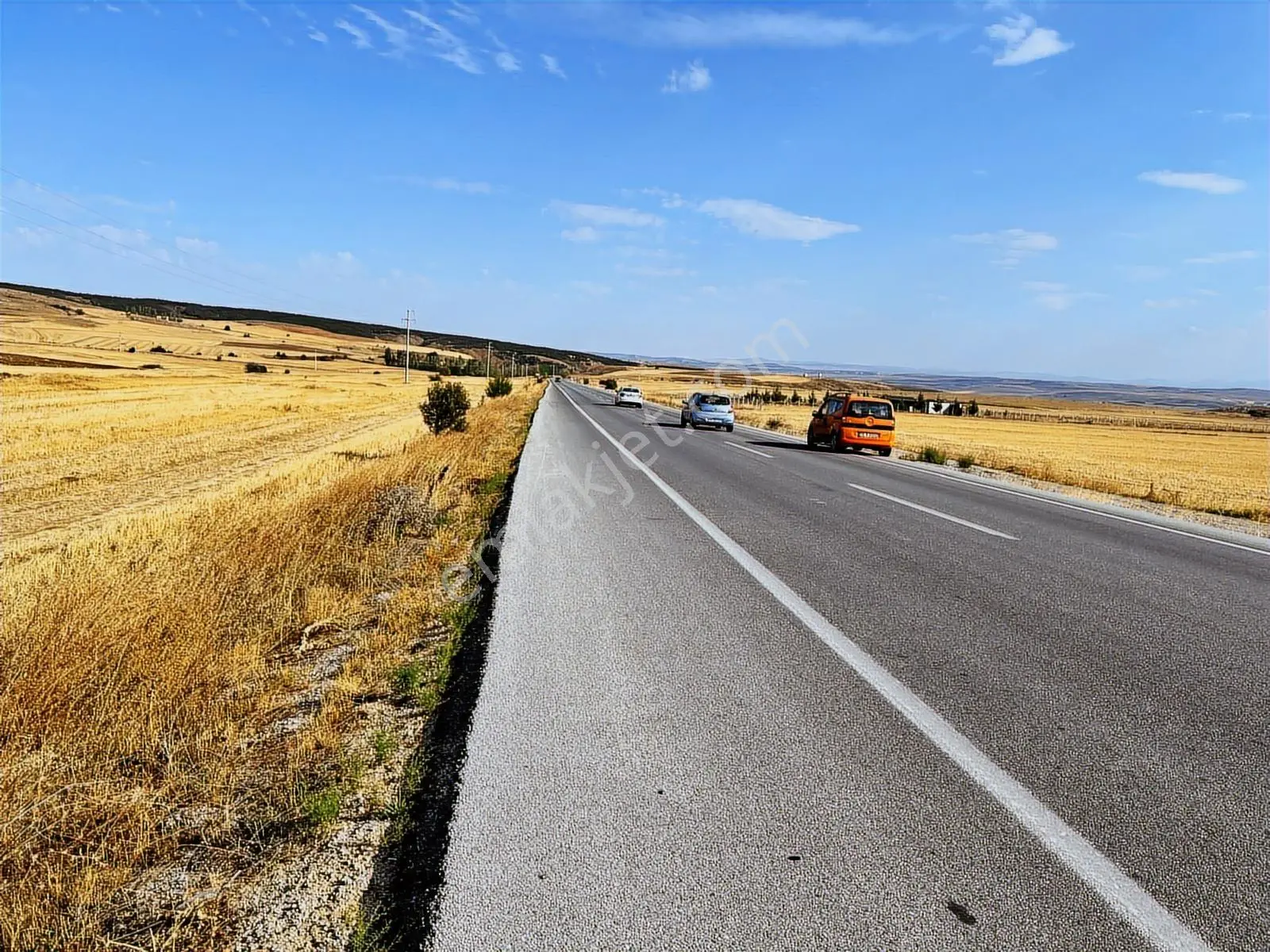 Başkan Emlaktan Satılık Yeşilyurt 1.451 M2 Söğüt Asfaltı Üzeri - Görsel 4