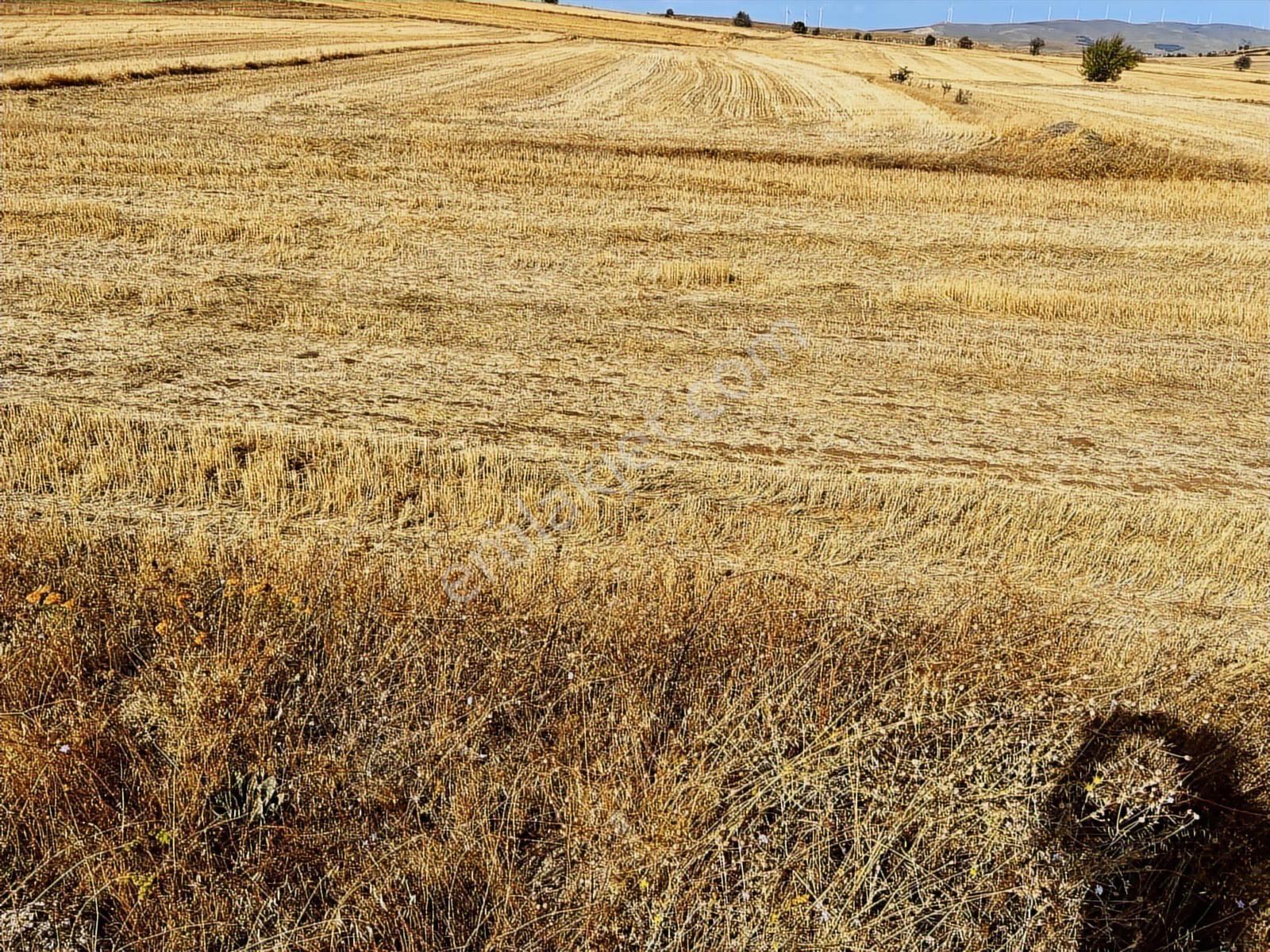 Başkan Emlaktan Satılık Yeşilyurt 1.451 M2 Söğüt Asfaltı Üzeri - Görsel 34