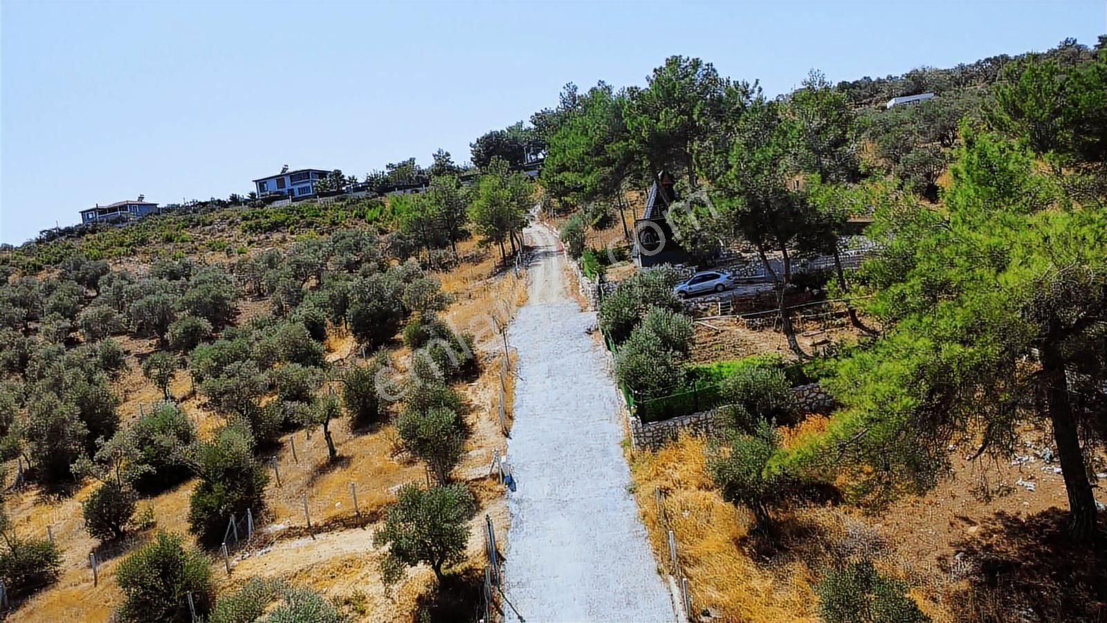 Remax Arma'dan Çapak'ta Satılık Havuzlu Bungalov Ev&arsası - Görsel 20
