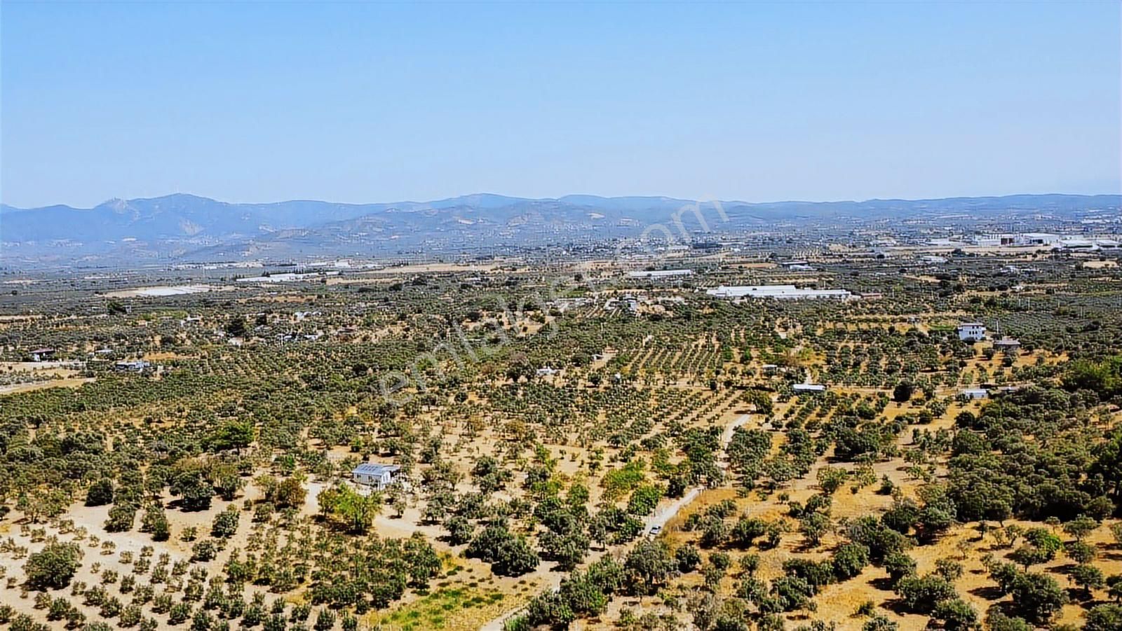Remax Arma'dan Çapak'ta Satılık Havuzlu Bungalov Ev&arsası - Görsel 13