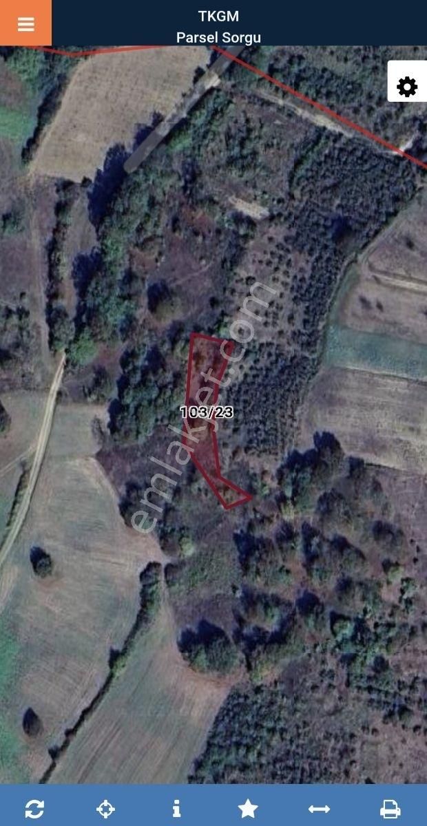 Kandıra Sarıahmetler Köyü' Nde Satılık (841 M²) Tarla - Görsel 6