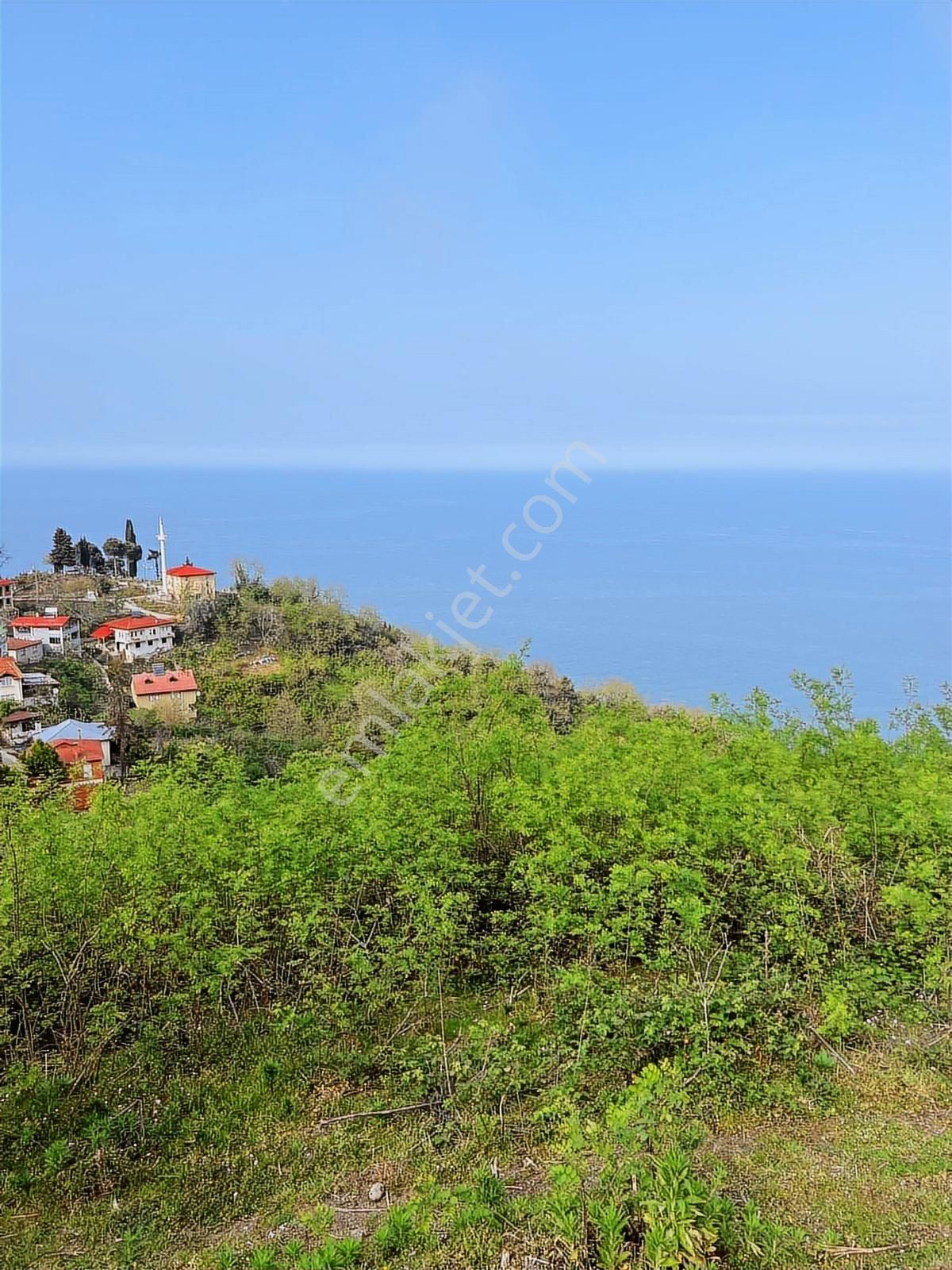 Gökdemir Gayrimenkulden Satılık Arsa Veya Fındık Bahcesi - Görsel 30