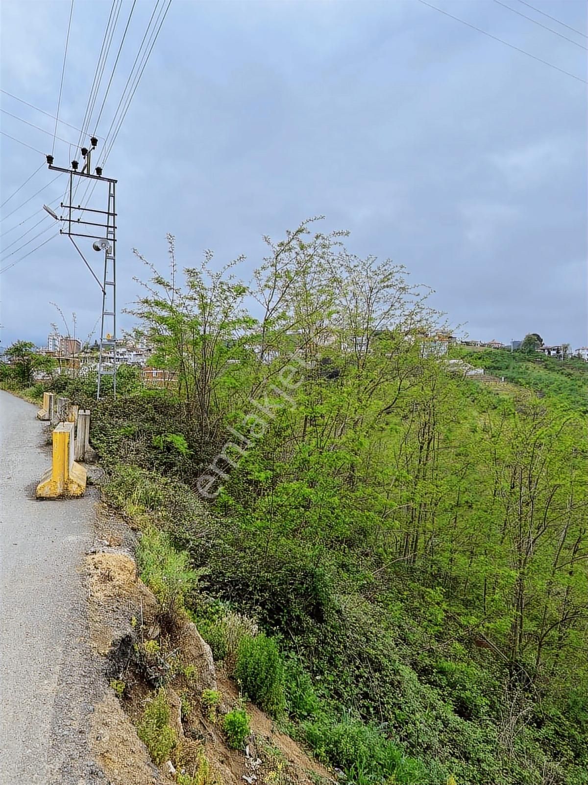 Gökdemir Gayrimenkulden Satılık Arsa Veya Fındık Bahcesi - Görsel 6