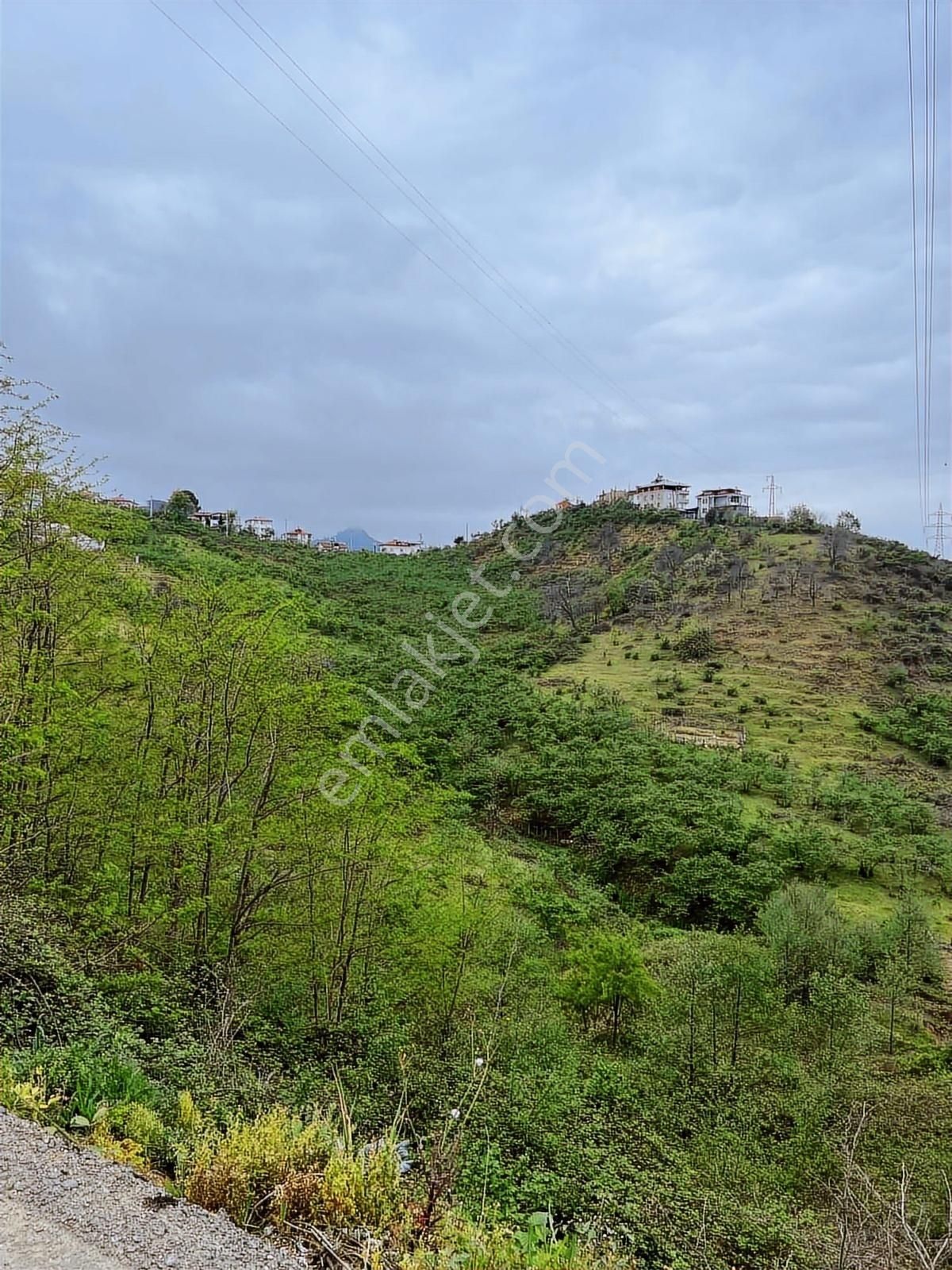 Gökdemir Gayrimenkulden Satılık Arsa Veya Fındık Bahcesi - Görsel 10