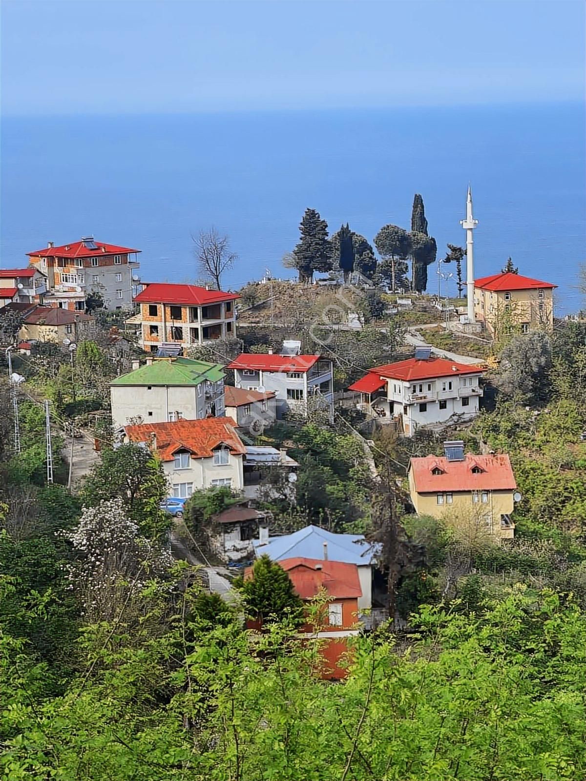 Gökdemir Gayrimenkulden Satılık Arsa Veya Fındık Bahcesi - Görsel 27