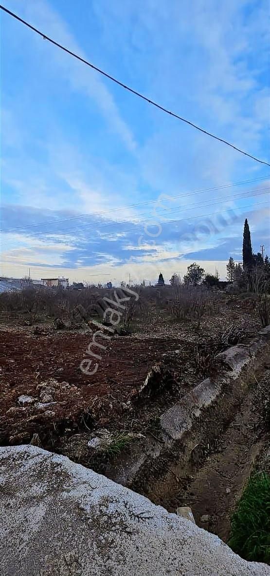 B&f Hurma Emlaktan Aşağıkaraman Mah. 3600m2 Asfalt Yola Cephe - Görsel 7