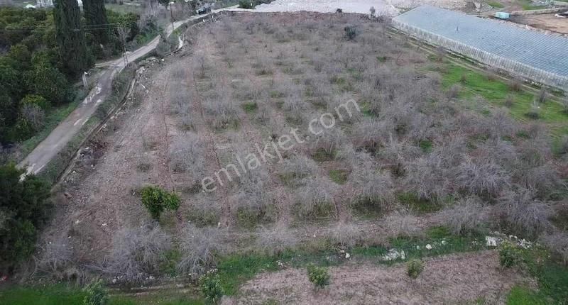 B&f Hurma Emlaktan Aşağıkaraman Mah. 3600m2 Asfalt Yola Cephe