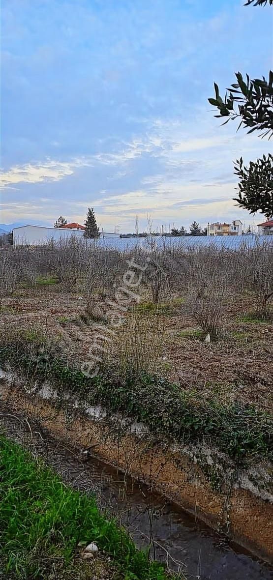 B&f Hurma Emlaktan Aşağıkaraman Mah. 3600m2 Asfalt Yola Cephe - Görsel 2