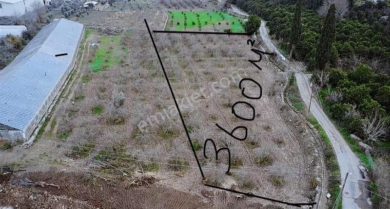 B&f Hurma Emlaktan Aşağıkaraman Mah. 3600m2 Asfalt Yola Cephe - Görsel 3
