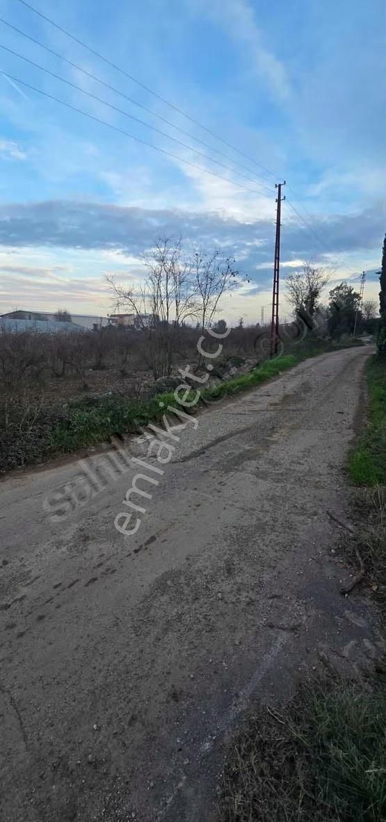 B&f Hurma Emlaktan Aşağıkaraman Mah. 3600m2 Asfalt Yola Cephe - Görsel 6