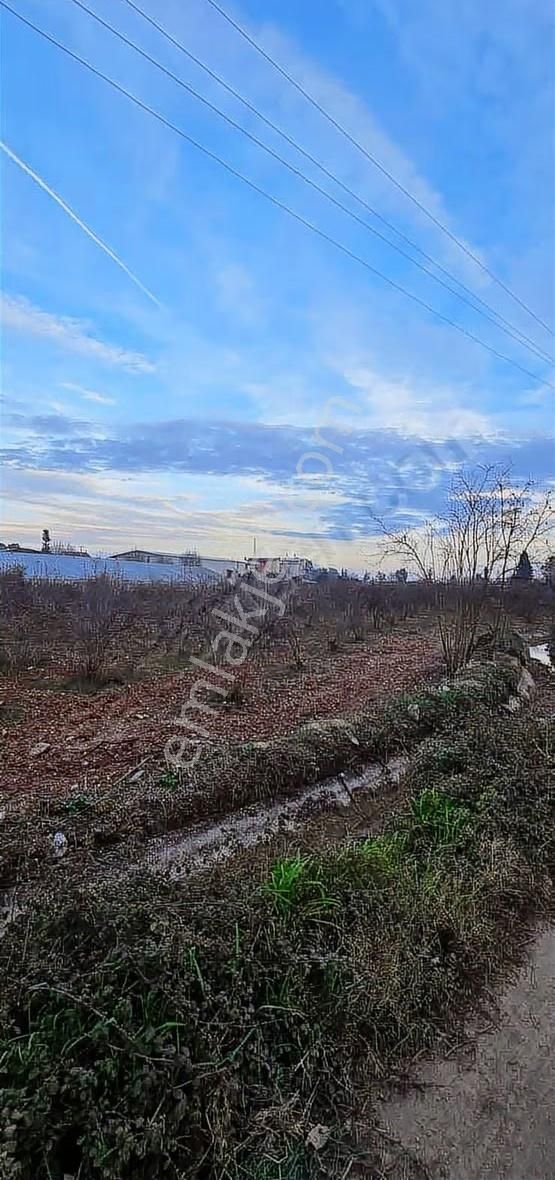 B&f Hurma Emlaktan Aşağıkaraman Mah. 3600m2 Asfalt Yola Cephe - Görsel 5