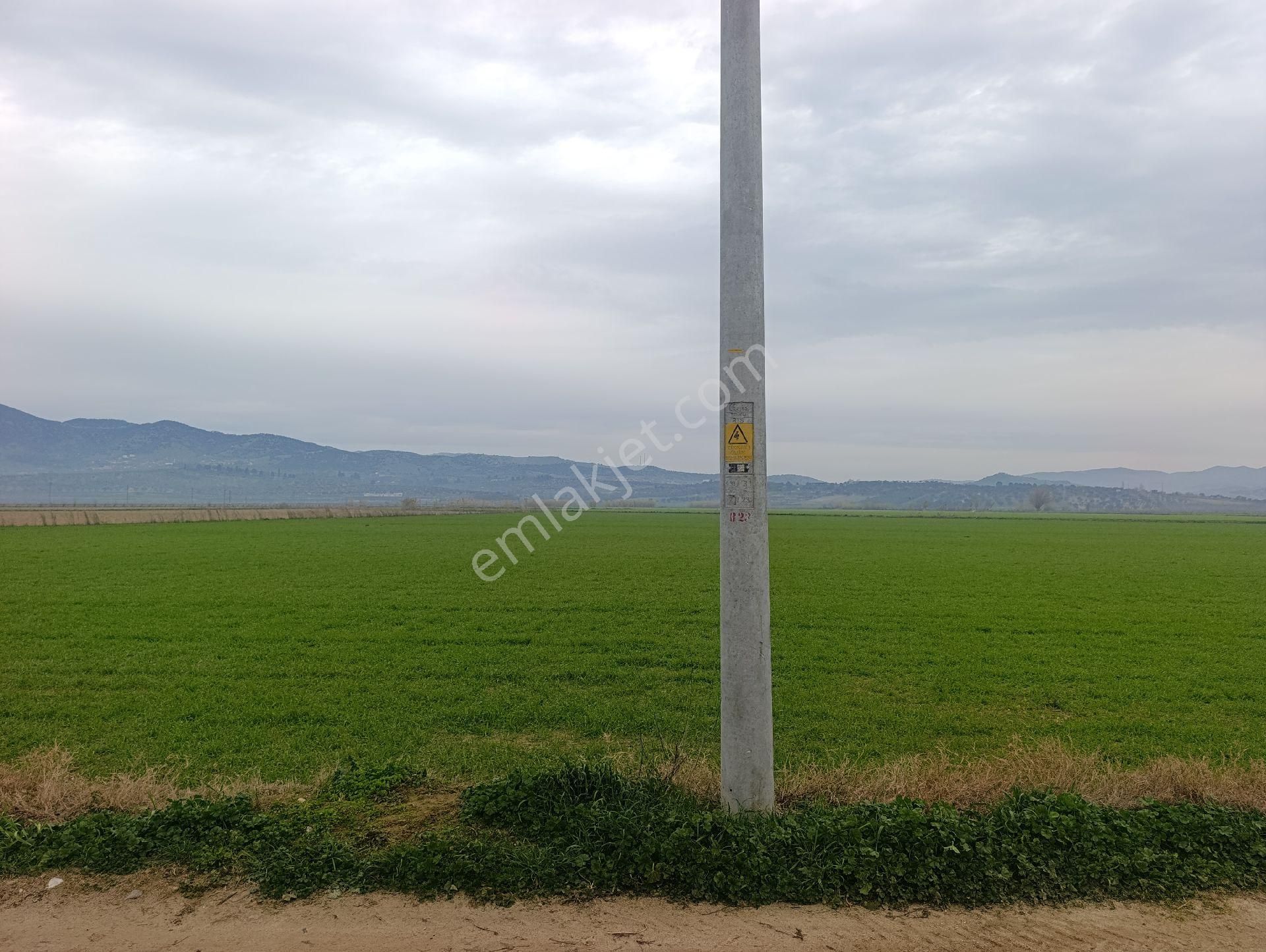 Çine Doğrumlar Mahallesinde Sahibinden Satılık Tarla - Görsel 3