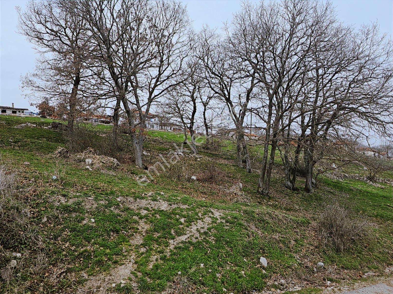 Balıkesir Savaştepe Konut İmarlı Satılık Arsa (840 M2) - Görsel 5