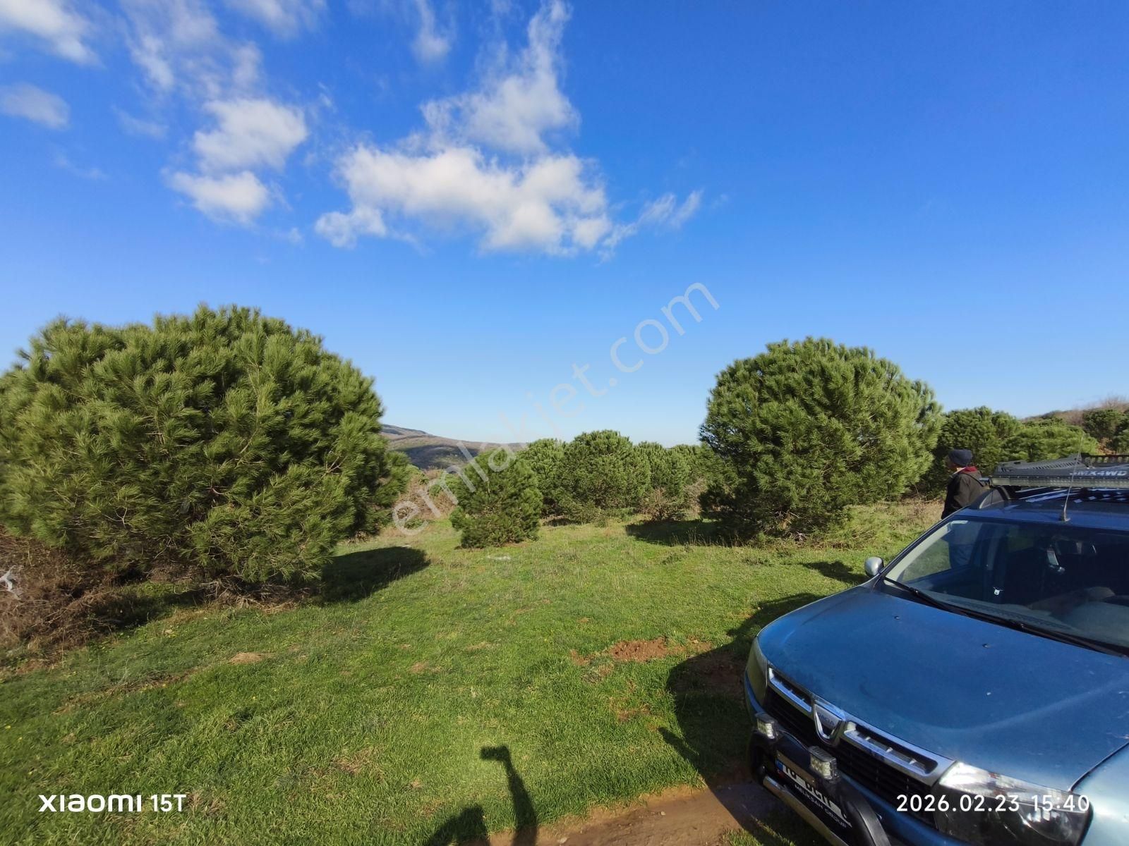 Bursa Karacabey Kulakpınar Köyü Satılık Tarla - Görsel 14