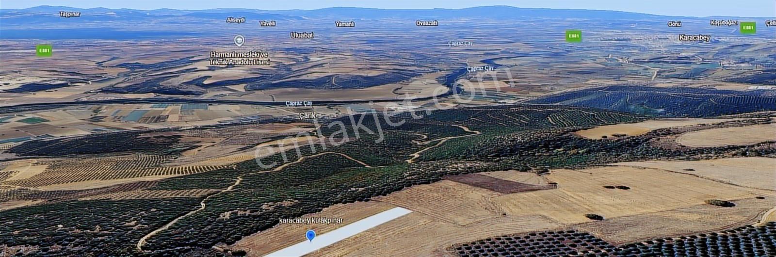 Bursa Karacabey Kulakpınar Köyü Satılık Tarla - Görsel 16