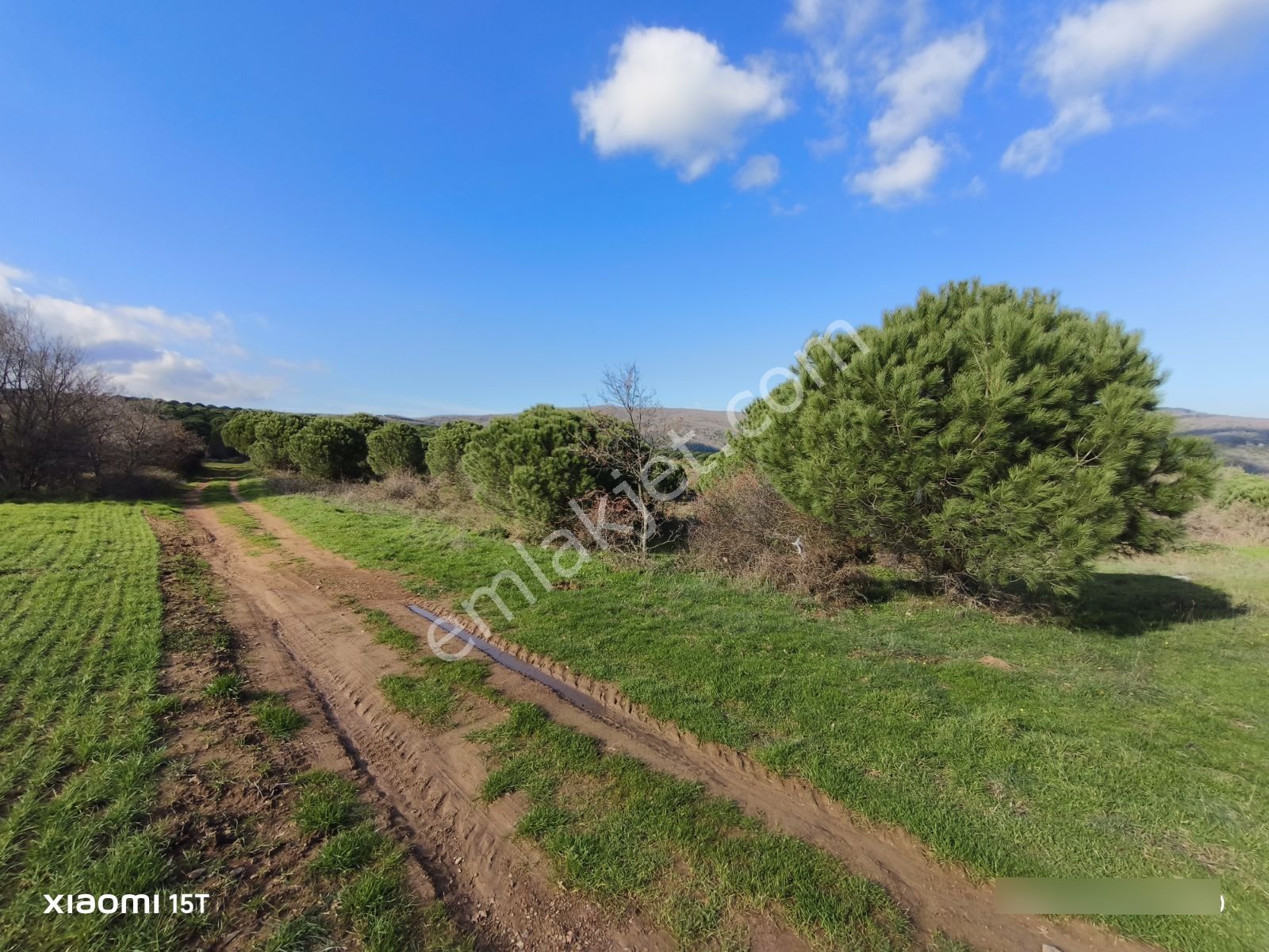 Bursa Karacabey Kulakpınar Köyü Satılık Tarla - Görsel 10