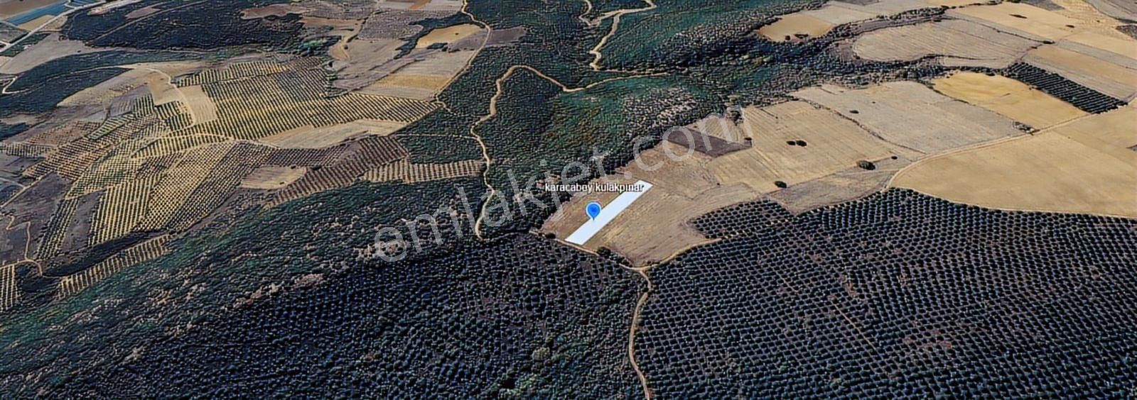 Bursa Karacabey Kulakpınar Köyü Satılık Tarla - Görsel 6