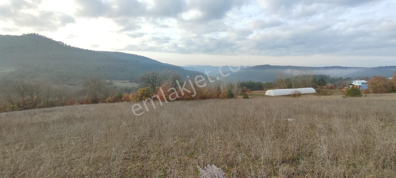 Bursa Nilüfer'e 20 Dakika Mesafede Ortaköyde Satılık Tarla - Görsel 6