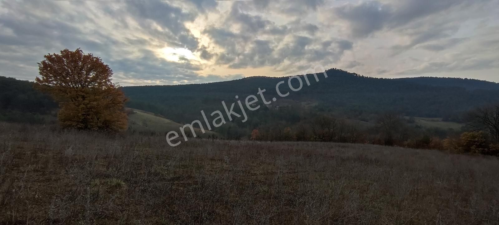 Bursa Nilüfer'e 20 Dakika Mesafede Ortaköyde Satılık Tarla - Görsel 4