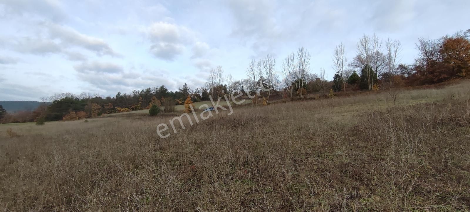 Bursa Nilüfer'e 20 Dakika Mesafede Ortaköyde Satılık Tarla - Görsel 9