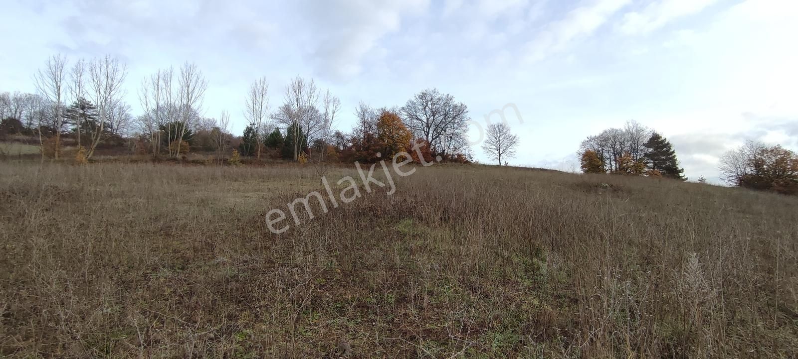 Bursa Nilüfer'e 20 Dakika Mesafede Ortaköyde Satılık Tarla - Görsel 5