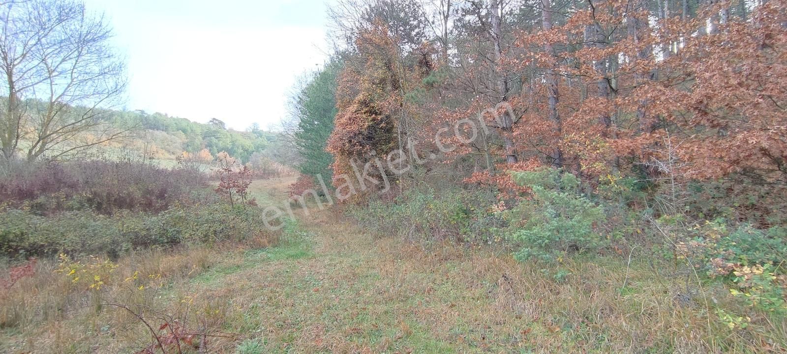 Bursa Nilüfer'e 20 Dakika Mesafede Ortaköyde Satılık Tarla - Görsel 11