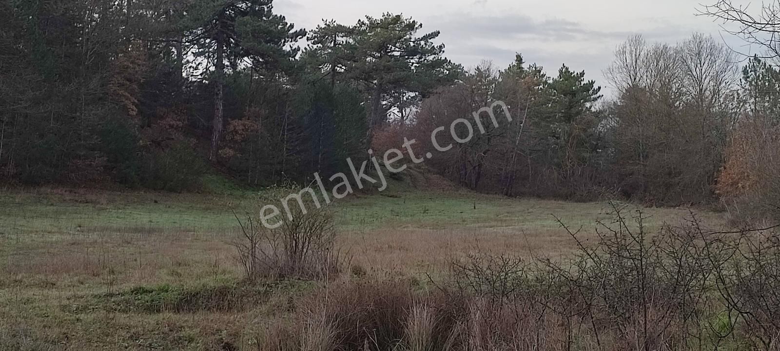 Bursa Nilüfer'e 20 Dakika Mesafede Ortaköyde Satılık Tarla - Görsel 2