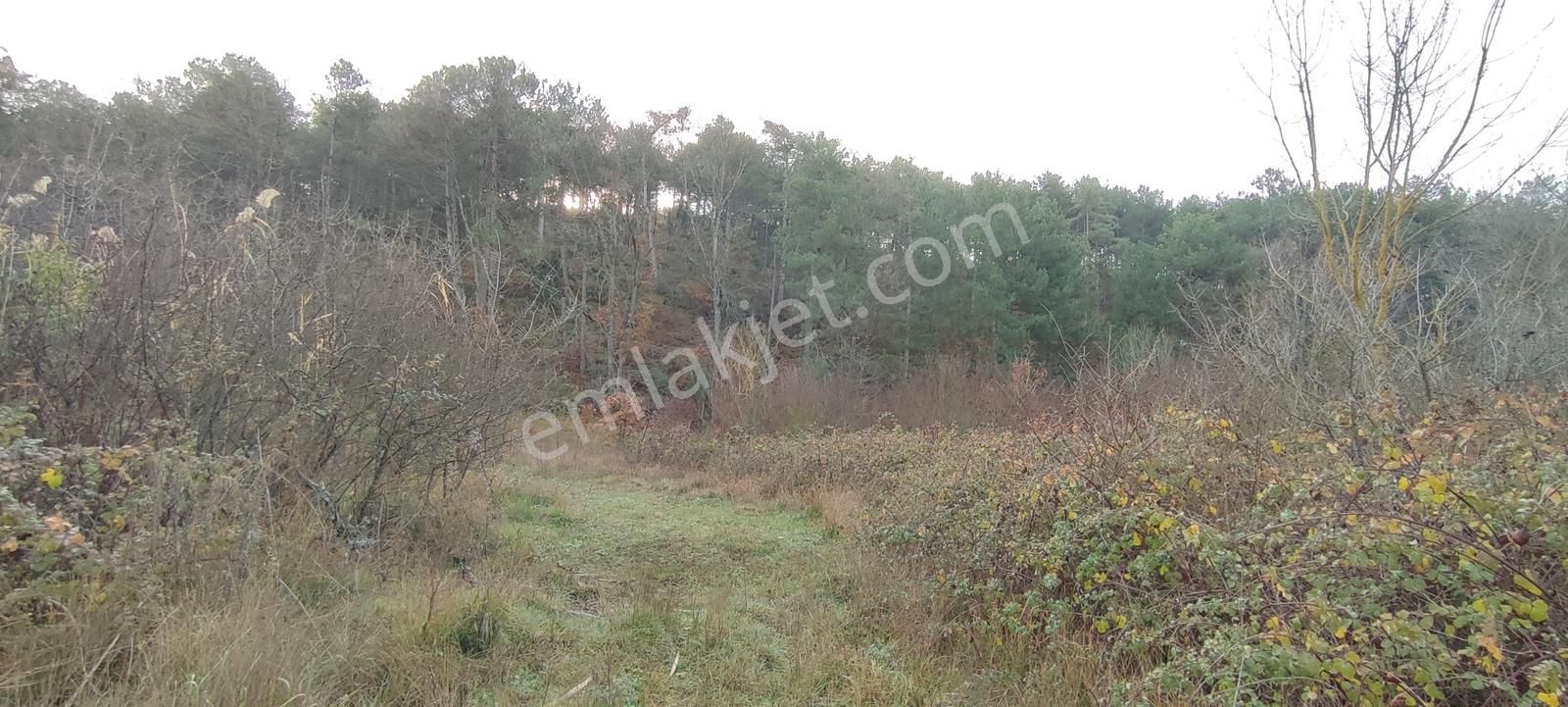 Bursa Nilüfer'e 20 Dakika Mesafede Ortaköyde Satılık Tarla - Görsel 13