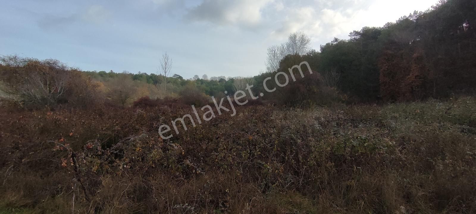 Bursa Nilüfer'e 20 Dakika Mesafede Ortaköyde Satılık Tarla - Görsel 5