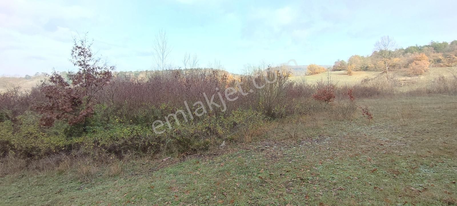 Bursa Nilüfer'e 20 Dakika Mesafede Ortaköyde Satılık Tarla - Görsel 7