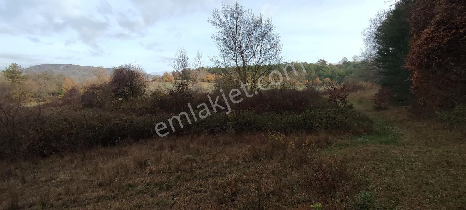 Bursa Nilüfer'e 20 Dakika Mesafede Ortaköyde Satılık Tarla - Görsel 3