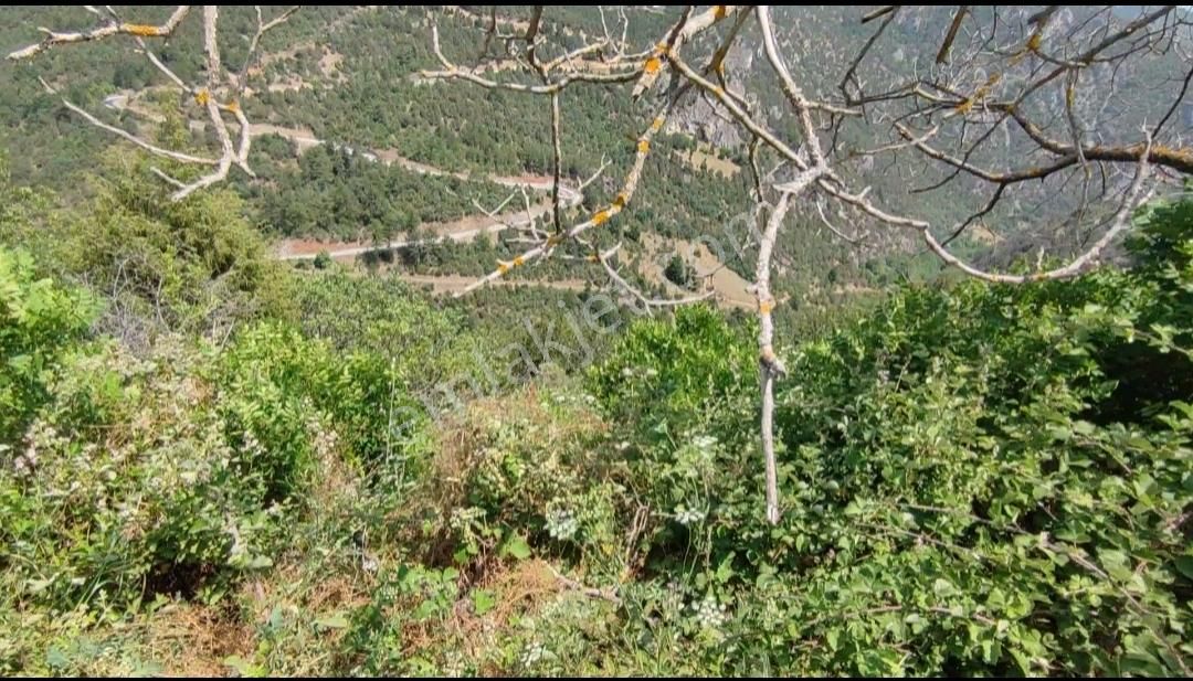Bursa Keles Gelemiçte Asfalt Yola Cephe, Vadi Manzaralı Satılık - Görsel 6
