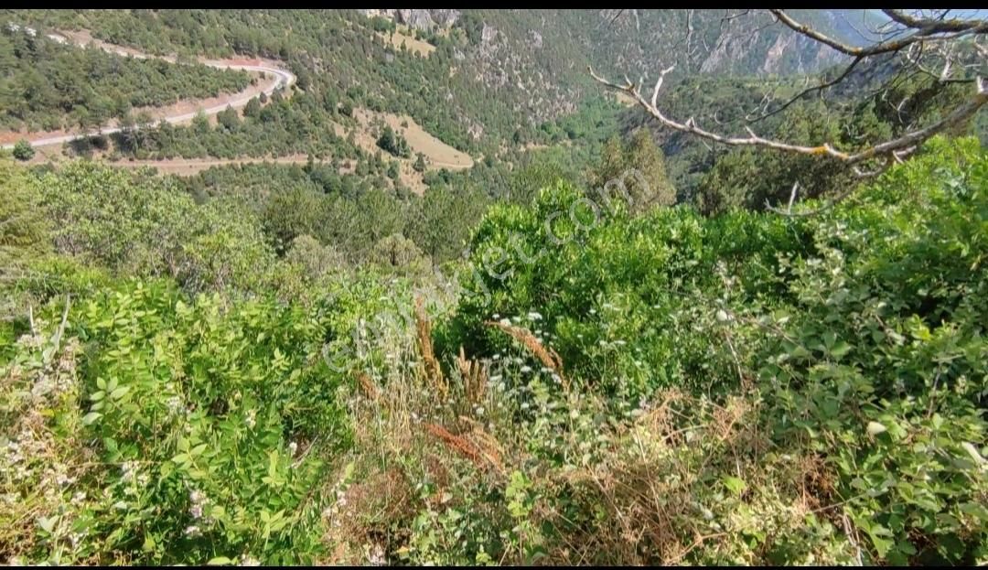 Bursa Keles Gelemiçte Asfalt Yola Cephe, Vadi Manzaralı Satılık - Görsel 5